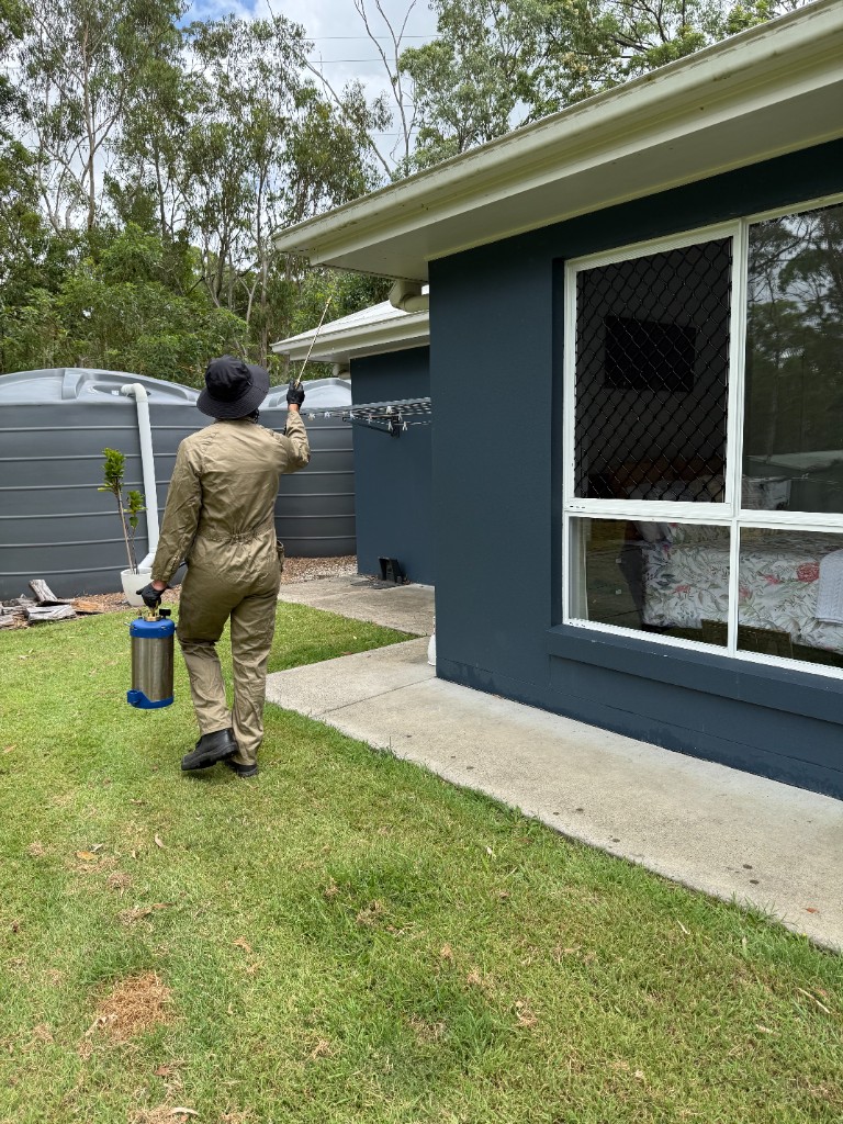 Professional pest technician working with certification training materials