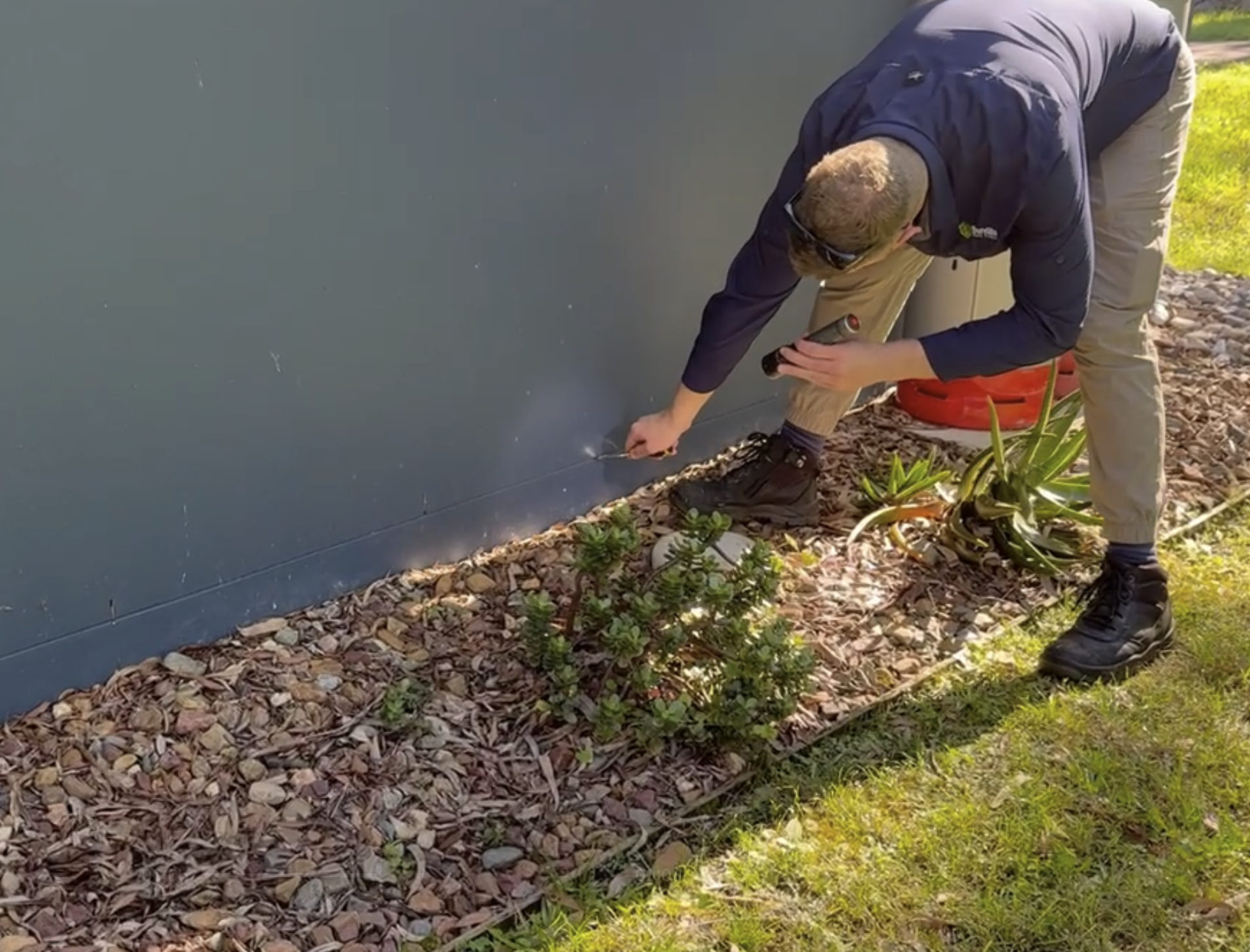 Thorough pest inspection techniques