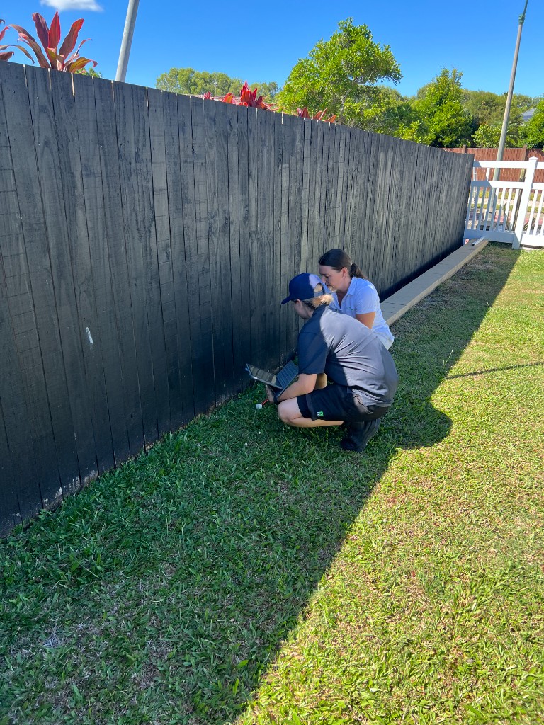 Timber pest inspection training in the field